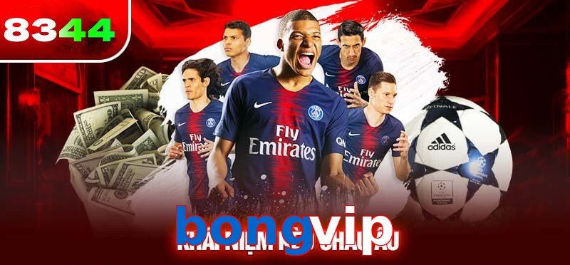 Tổng quan sảnh thể thao bongvip với lượt truy cập hàng triệu