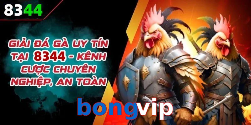 Đơn vị đồng hành cùng đá gà bongvip