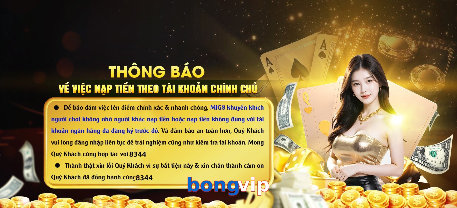 Tổng quan về nhà cái bongvip